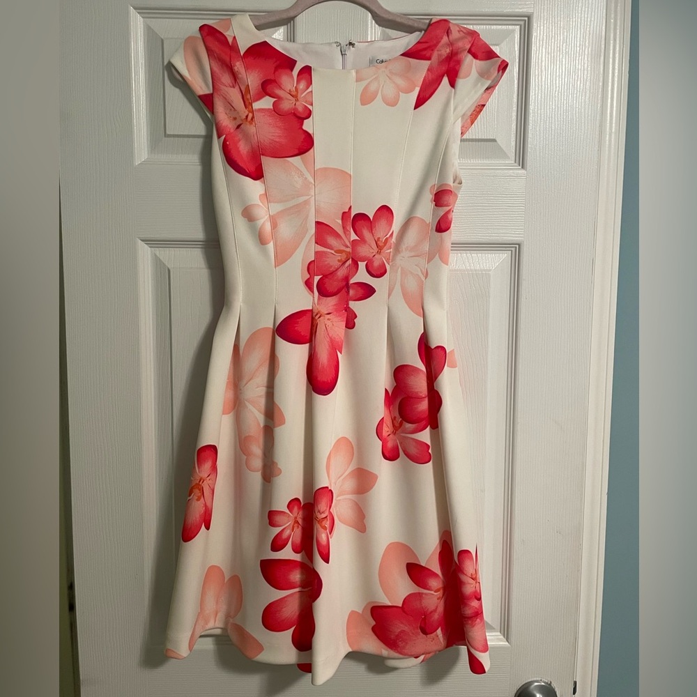 Calvin Klein Pink and Cream Floral Dress